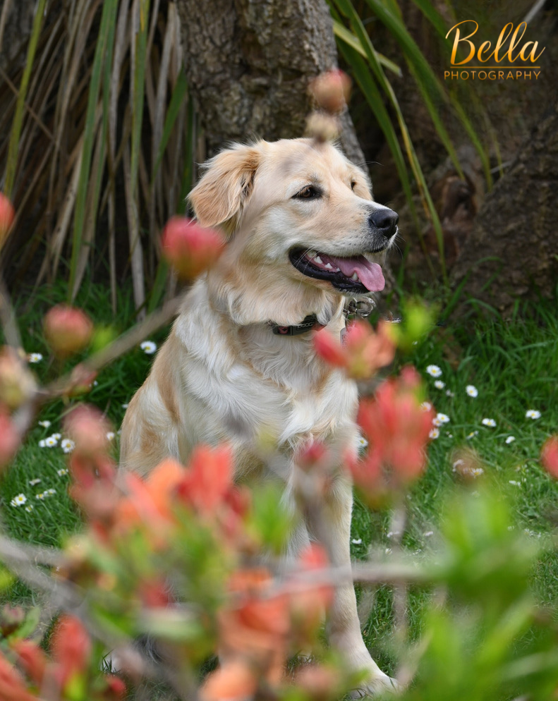 Meg portrait session